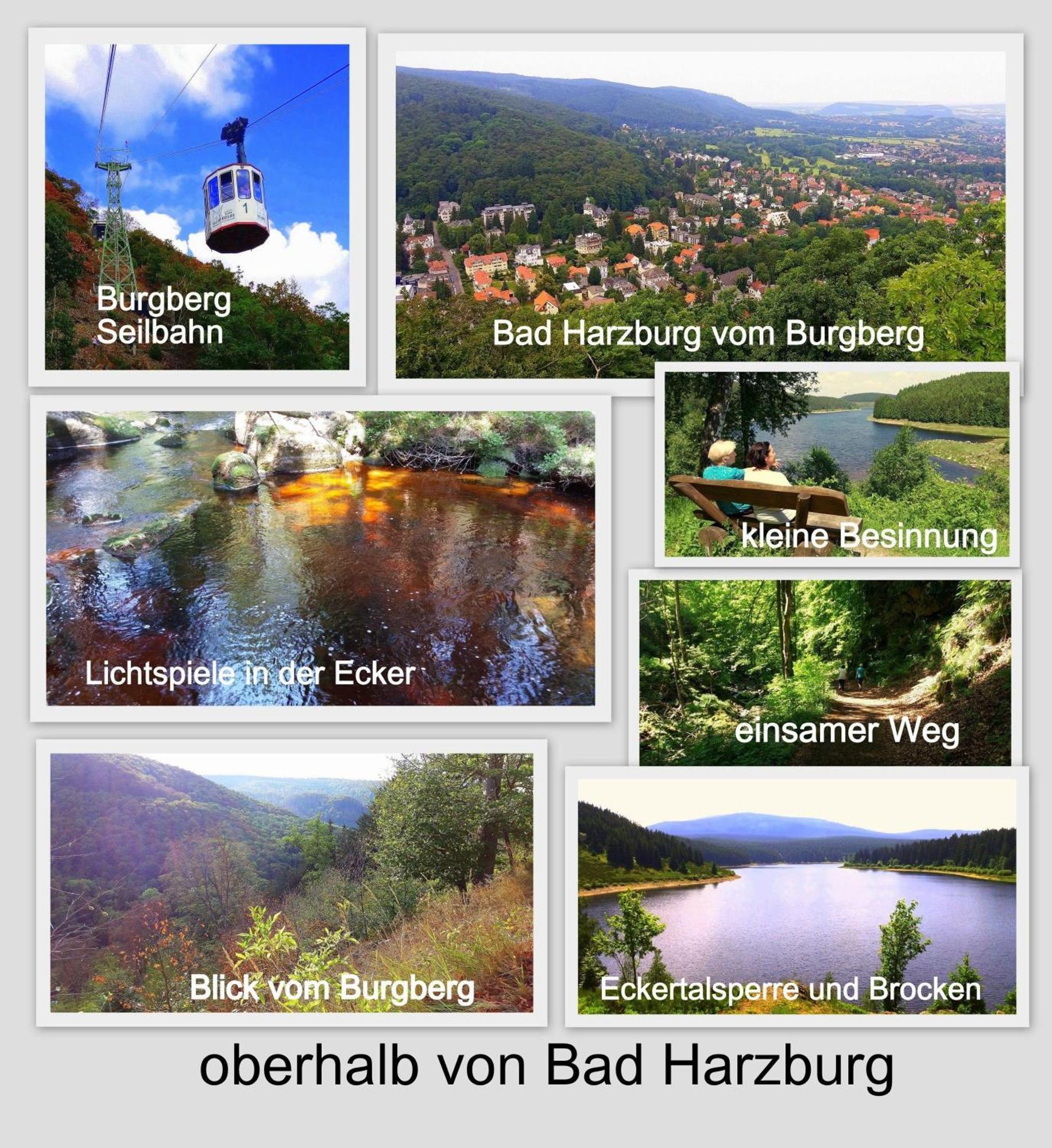 Fewo-Radau Bad Harzburg Εξωτερικό φωτογραφία
